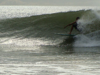 no comply ecole de surf